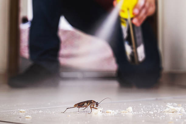 Professional Pest Control in Baton Rouge, LA